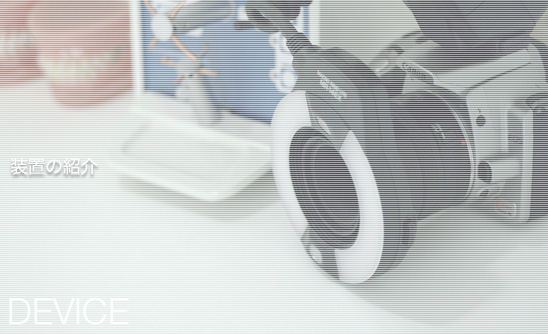 ���u�̏Љ�