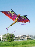 ��Ɂg���c�h������I