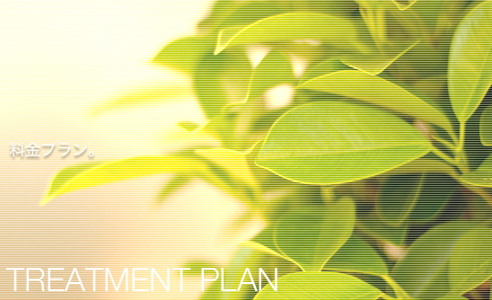 �����v�����B